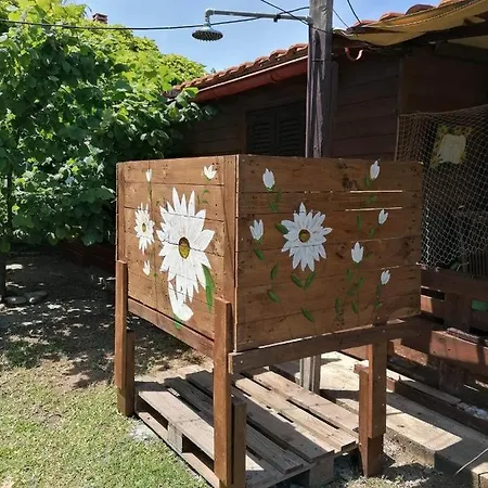 Case de vacanță Country Village